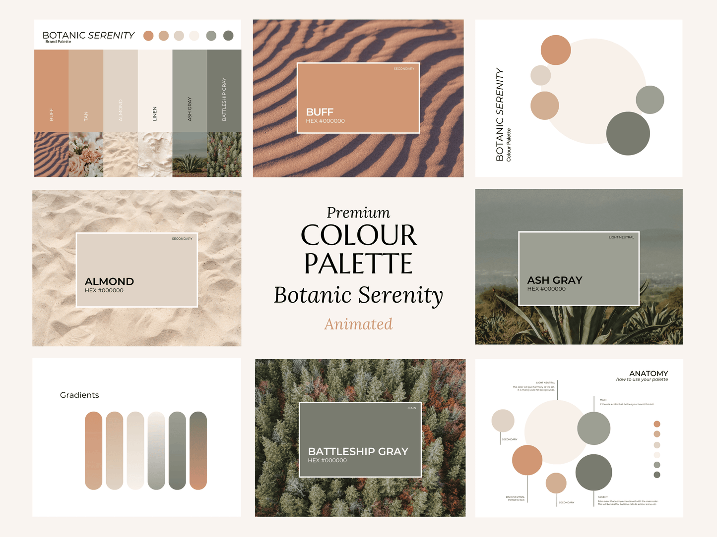 Color Palertte