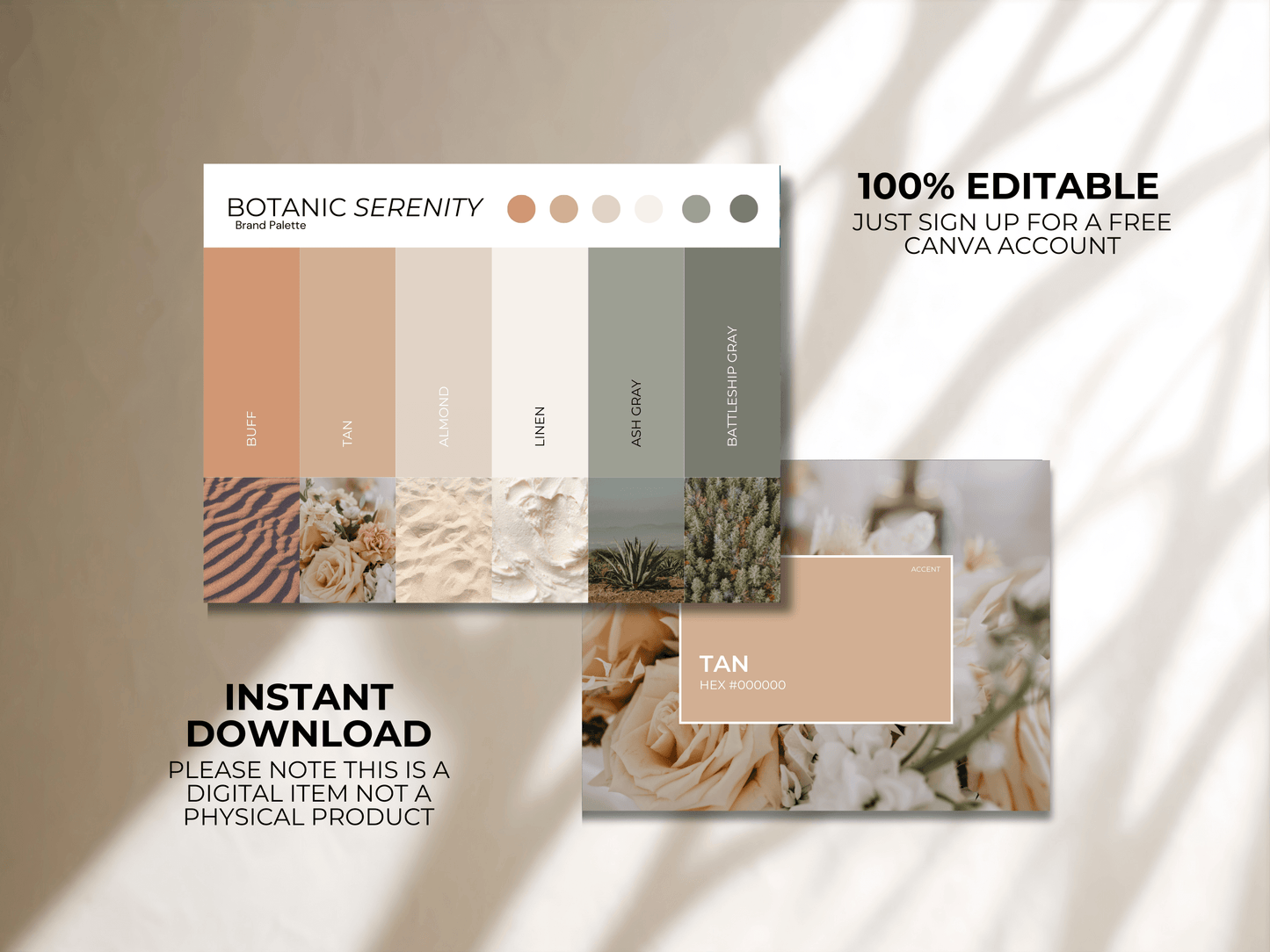 Color Palette