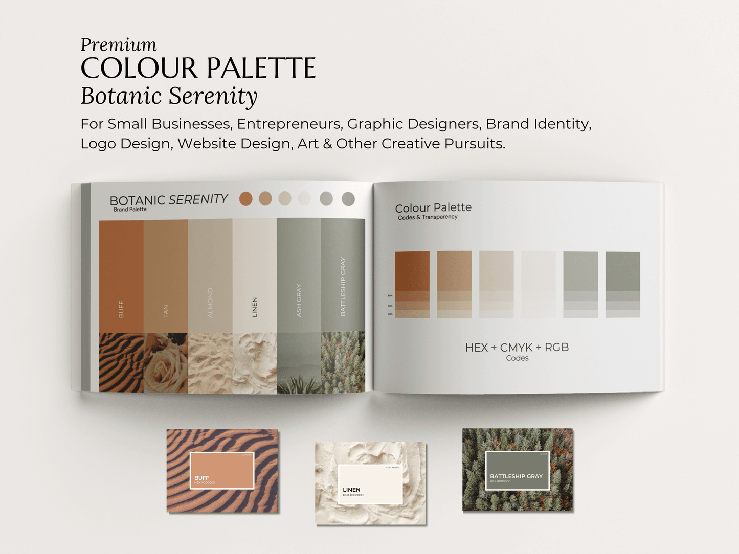 Color Palette