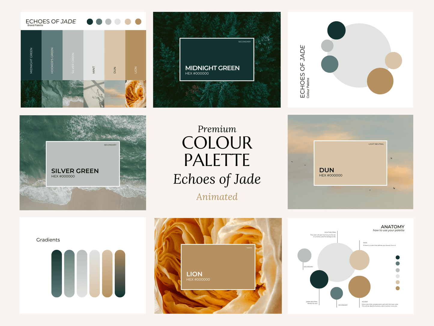 Color Palette