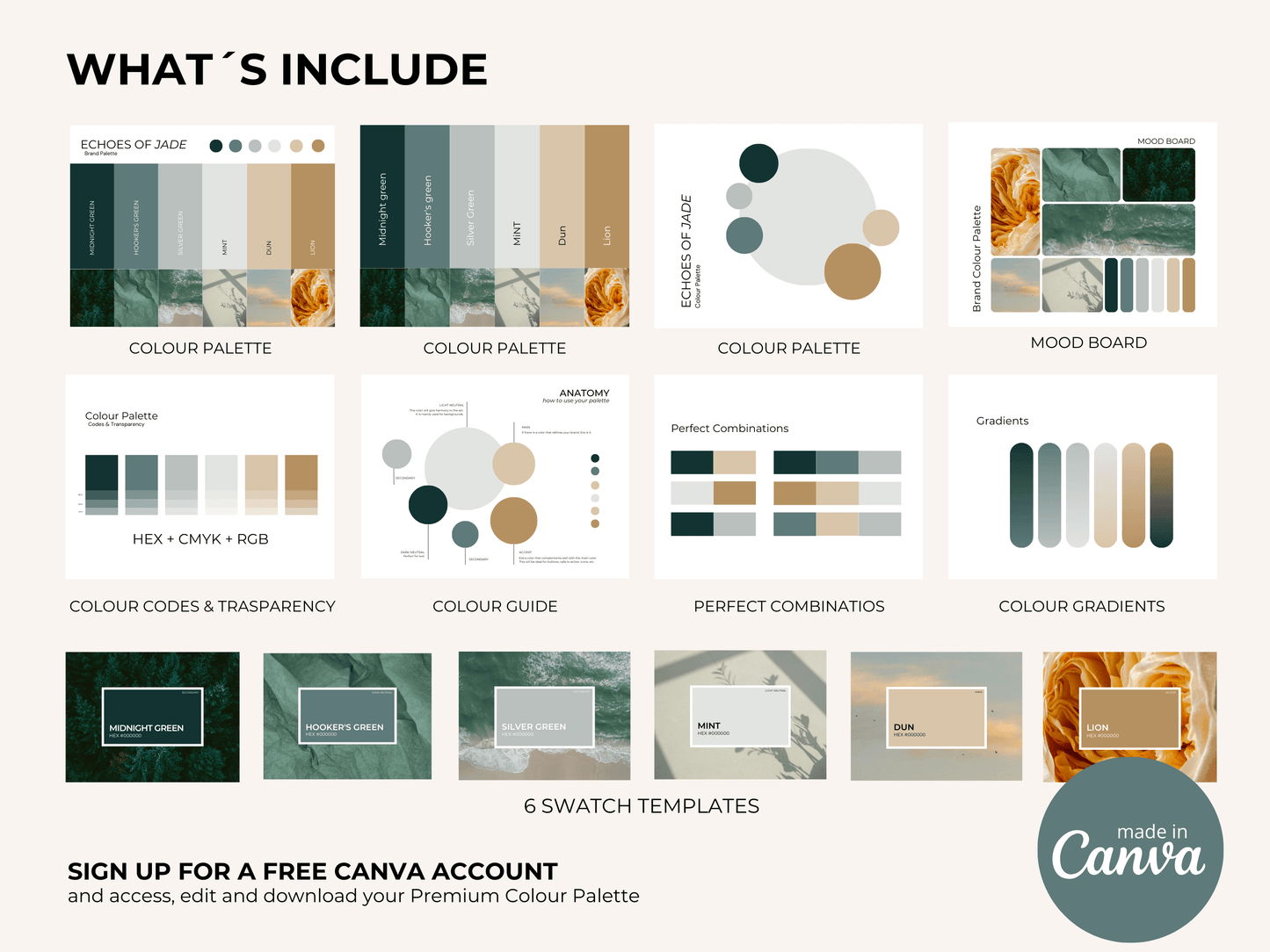 Color Palette