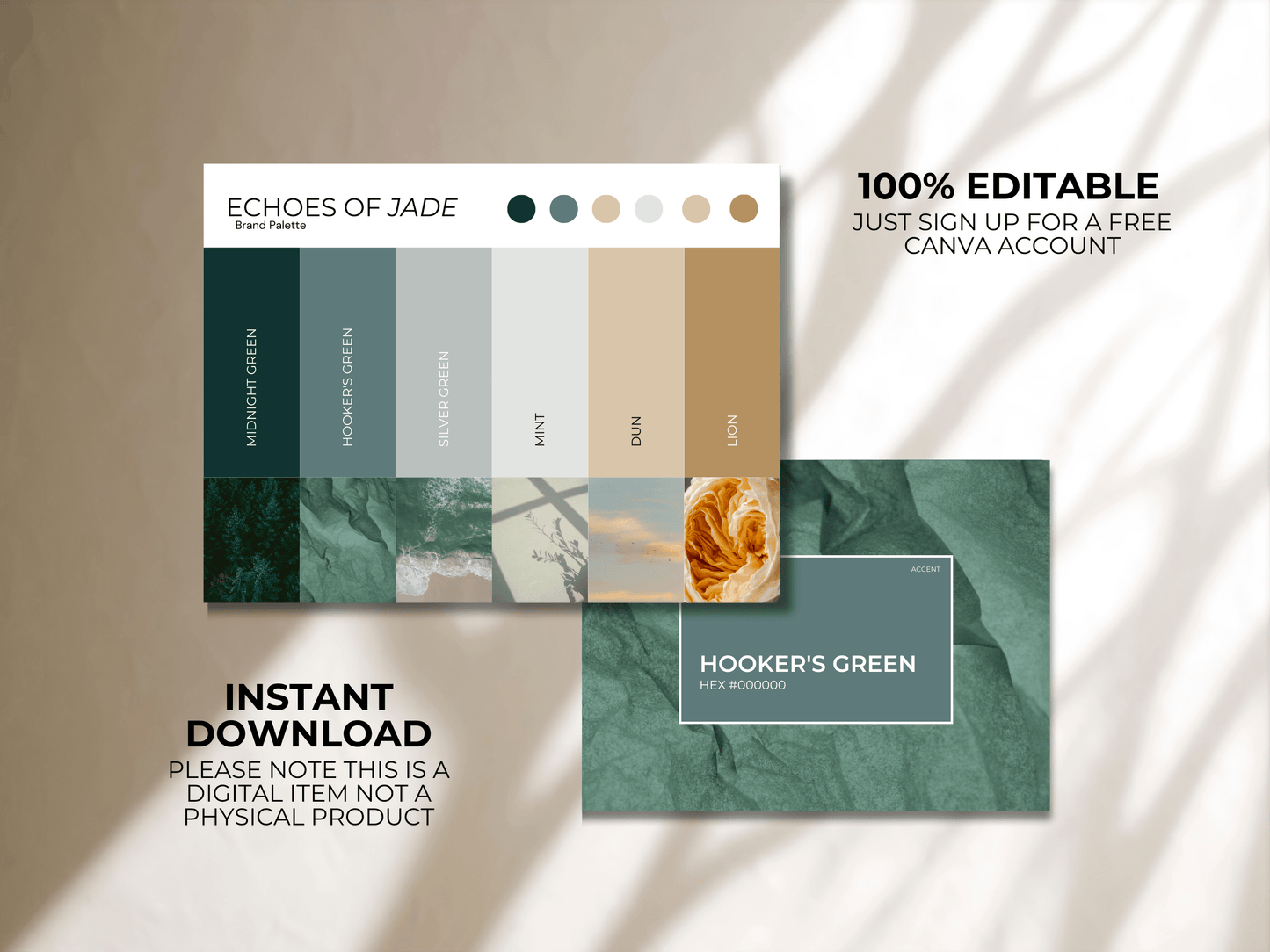 Color Palette