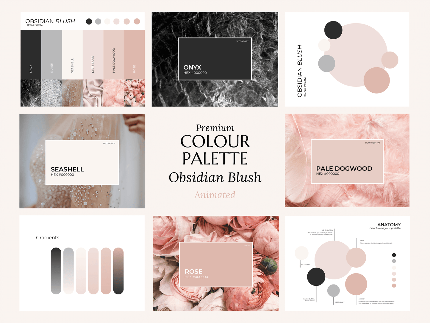 Premium Color Palette