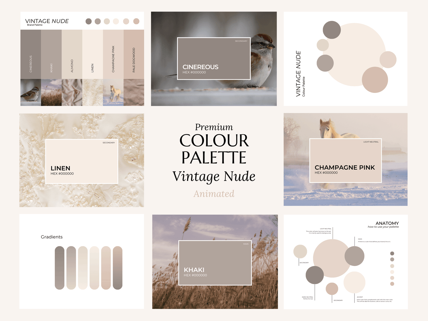 Vintage Nude | Premium Colour Palette | Editable Canva Template with Hex Codes | Nudes + Beige Small Business Branding