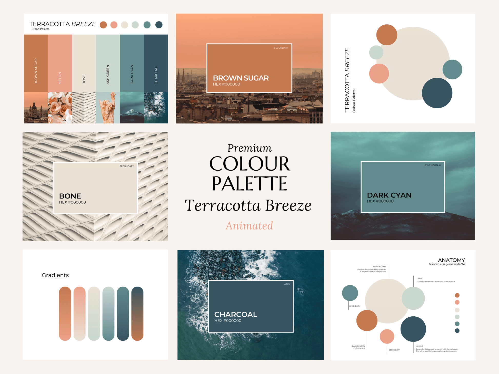 Terracotta Breeze | Modern Brand Color Palette