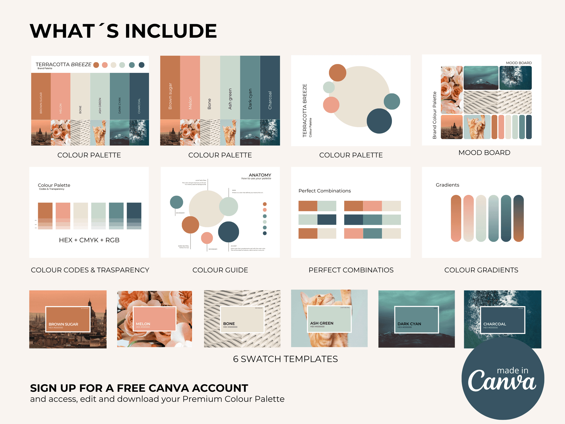 Terracotta Breeze | Modern Brand Color Palette