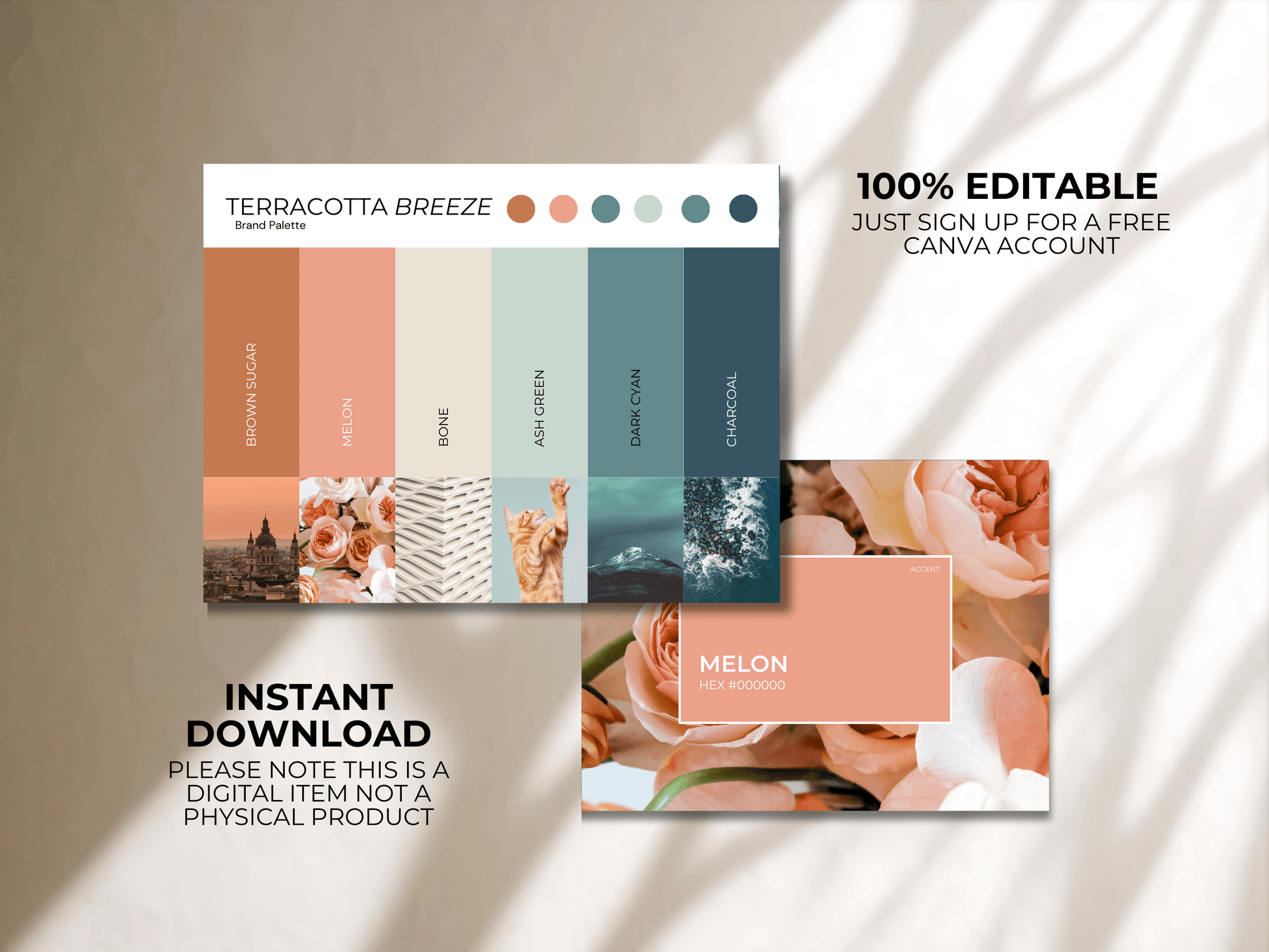 Terracotta Breeze | Modern Brand Color Palette