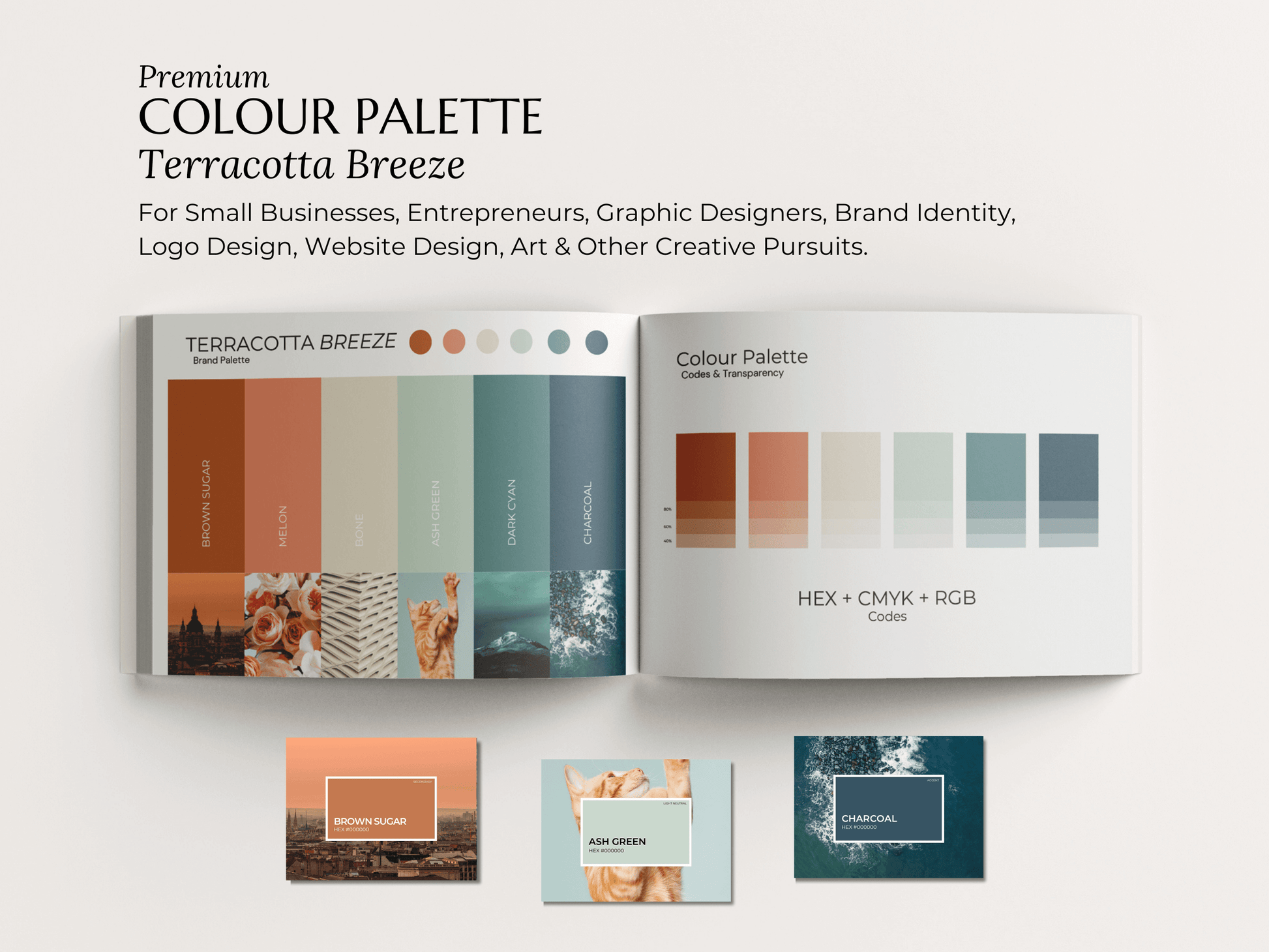 Terracotta Breeze | Modern Brand Color Palette